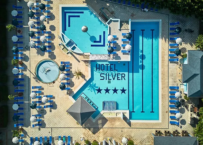 Hotel Silver